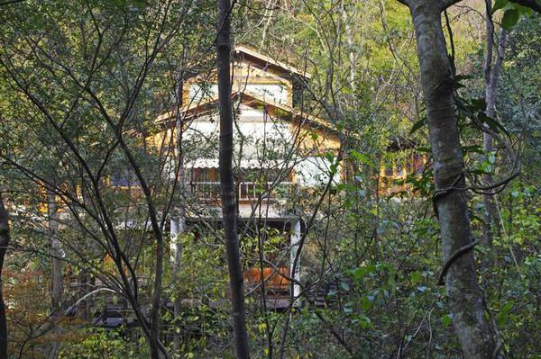 宁海森林温泉特色小木屋体验+前童古镇免门票方法23