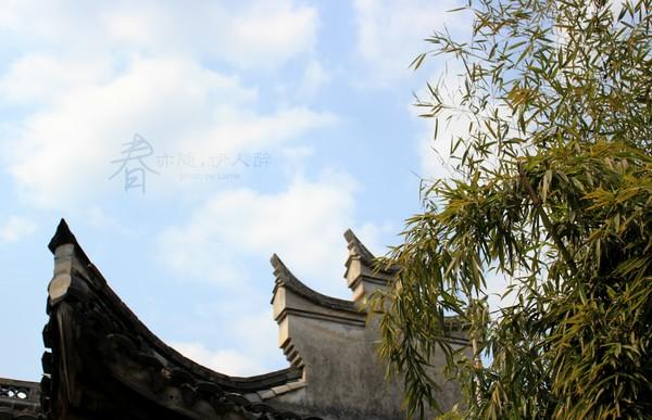 【带着狗头走天下】宁海前童古镇，那又一处的安静10