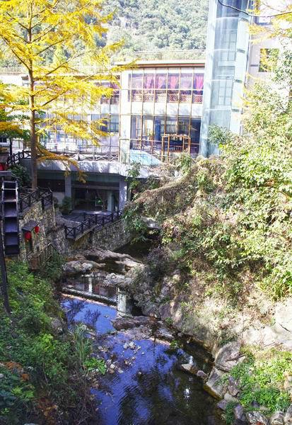 宁海森林温泉特色小木屋体验+前童古镇免门票方法6