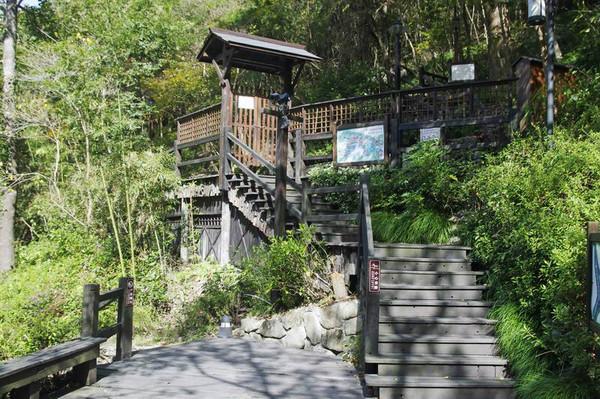 宁海森林温泉特色小木屋体验+前童古镇免门票方法15