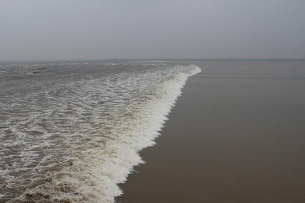 海宁盐官观潮游记35