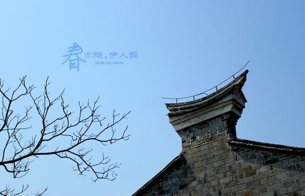【带着狗头走天下】宁海前童古镇，那又一处的安静33