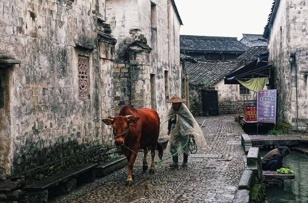 遗失的江南——前童古镇6