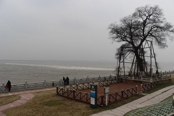 海宁盐官观潮游记37