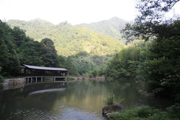 开化钱江源国家森林公园冬季真是美5