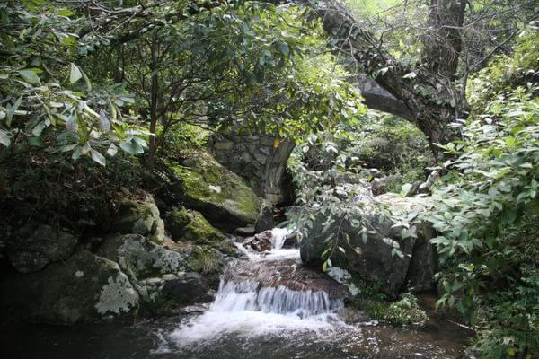 开化钱江源国家森林公园冬季真是美6