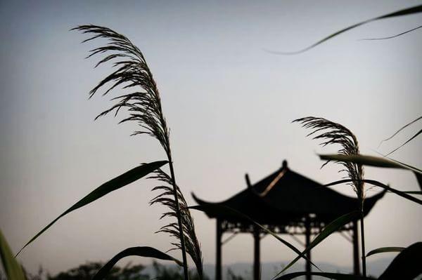 行遍江南 之 湖州游记 (图文)1