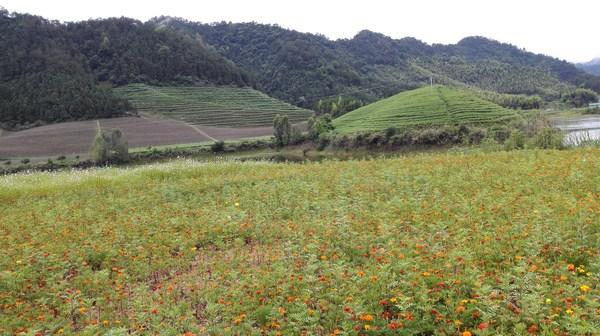自驾环行千岛湖 (2015.6)13