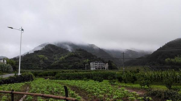 自驾环行千岛湖 (2015.6)8