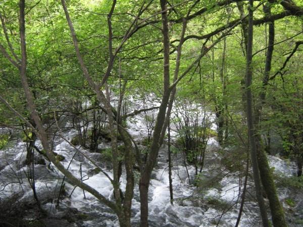 九寨沟黄龙自助游攻略 2