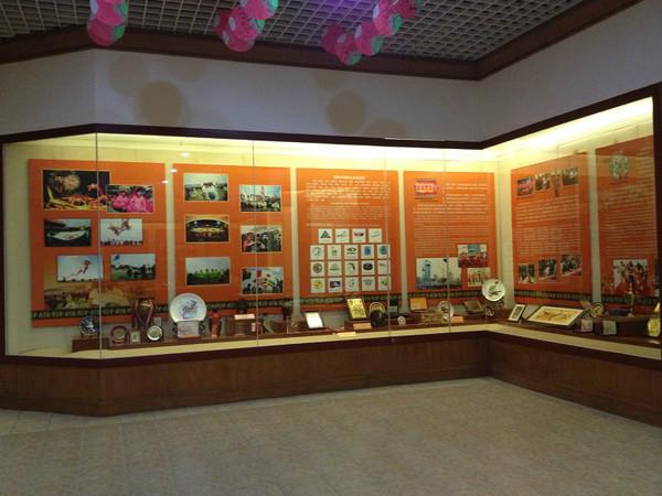 潍坊风筝博物馆7