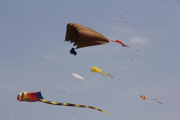 #听我说#游世界风筝之都，观风筝放飞表演1