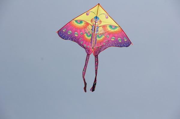 #听我说#游世界风筝之都，观风筝放飞表演13