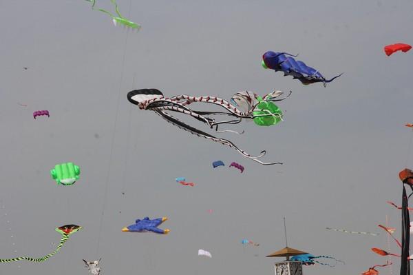 #听我说#游世界风筝之都，观风筝放飞表演11