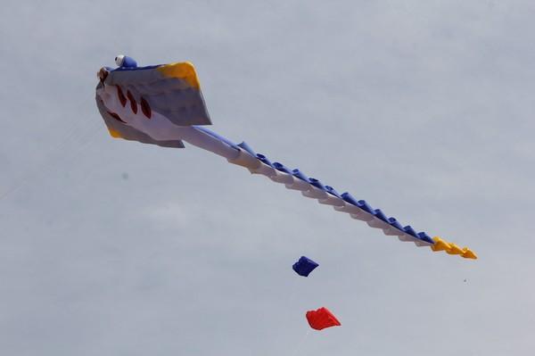 #听我说#游世界风筝之都，观风筝放飞表演8