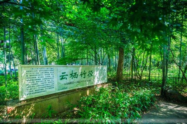 给我一天 还你千年 宋城一天玩不够124