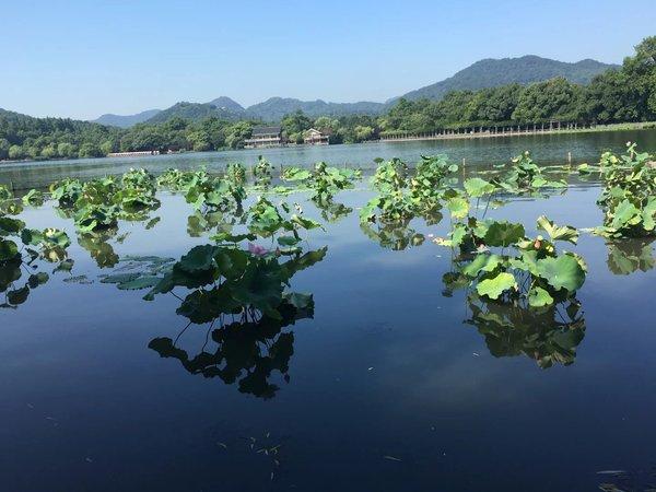 已经完成的，七月西湖行22