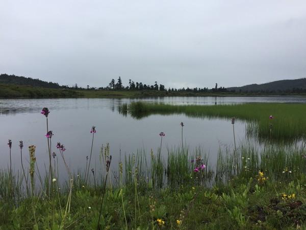 忽然的决定——丽江，香格里拉，稻城11日游28