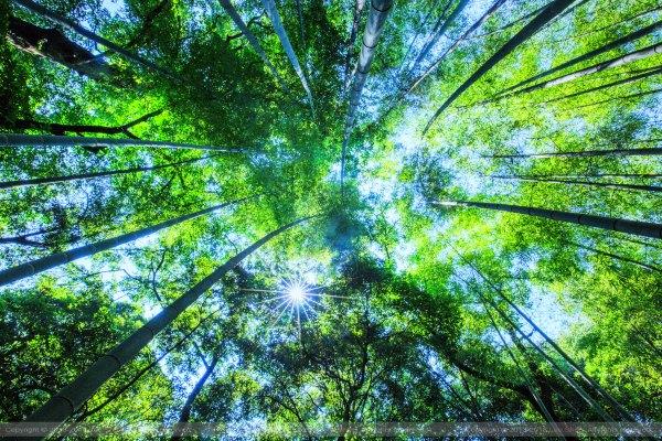给我一天 还你千年 宋城一天玩不够128