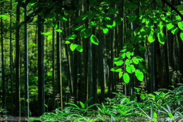 给我一天 还你千年 宋城一天玩不够127