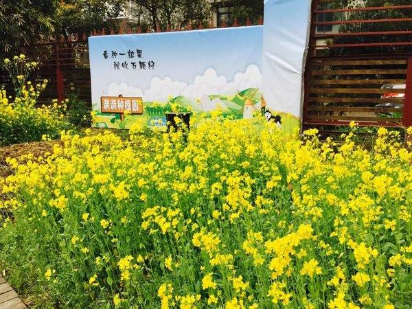 第十九站：杭州——出差之终于等到你 还好我没放弃23