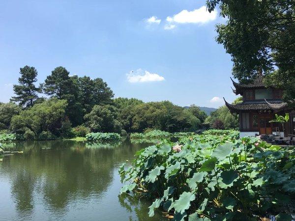 已经完成的，七月西湖行44