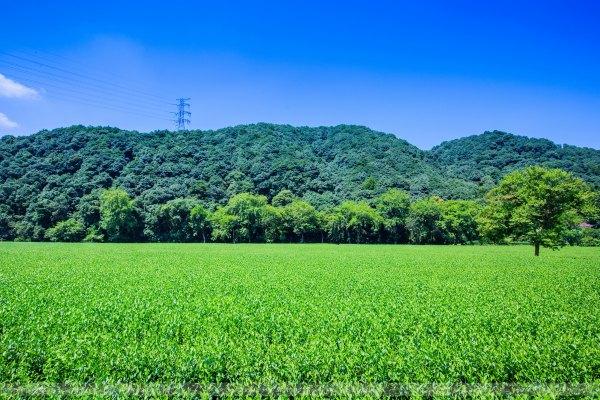 给我一天 还你千年 宋城一天玩不够123