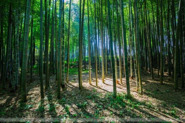 给我一天 还你千年 宋城一天玩不够125