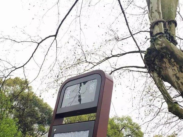 第十九站：杭州——出差之终于等到你 还好我没放弃49