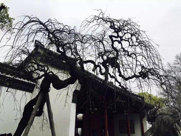 第十九站：杭州——出差之终于等到你 还好我没放弃46