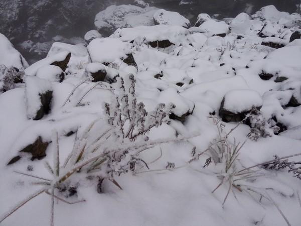 2015年2月2日彭州回龙沟看雪17