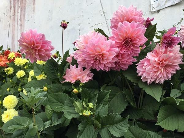 佛说：万法皆生，皆系缘份——偶然相遇，亚丁注定寻找一生15