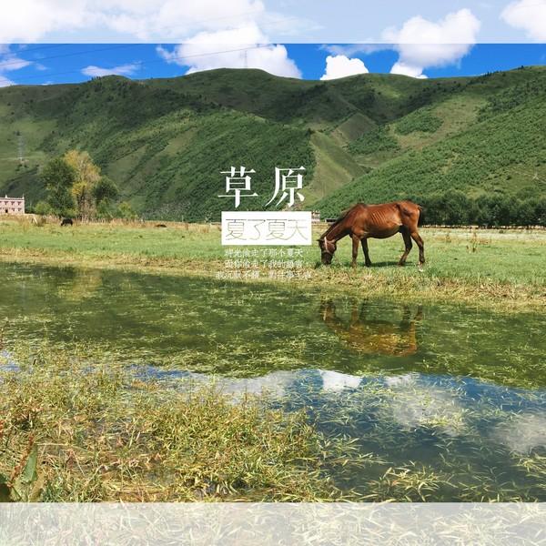 佛说：万法皆生，皆系缘份——偶然相遇，亚丁注定寻找一生21