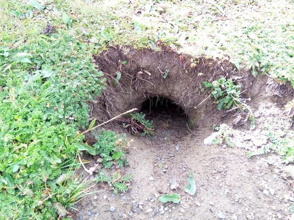 2015年8月24日，成都12