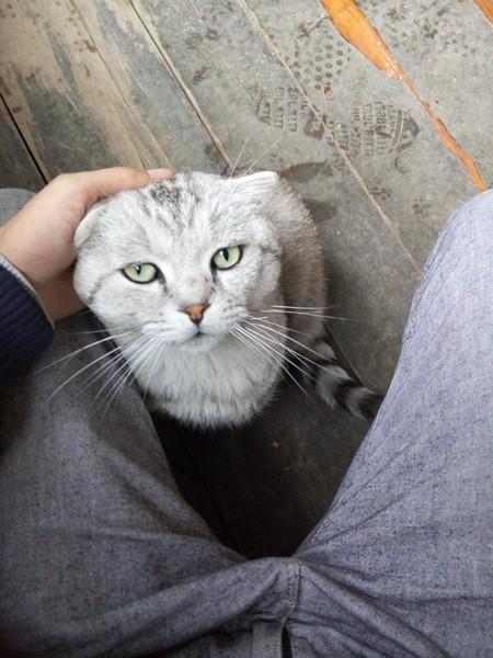 2015年8月24日，成都20