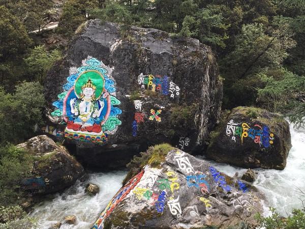 佛说：万法皆生，皆系缘份——偶然相遇，亚丁注定寻找一生31