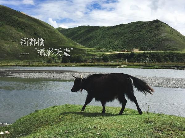 佛说：万法皆生，皆系缘份——偶然相遇，亚丁注定寻找一生20