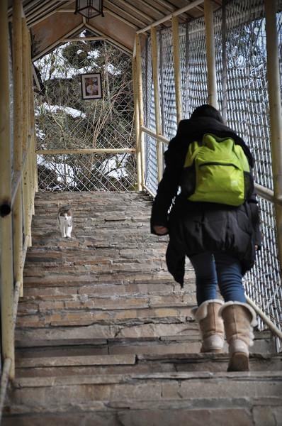 这边风景独好37