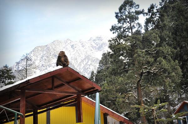 这边风景独好46