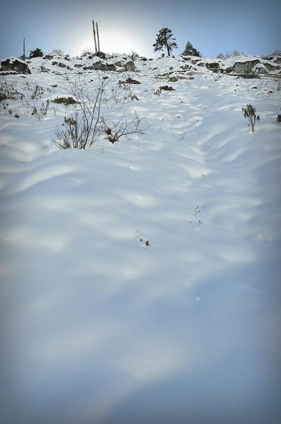 这边风景独好29