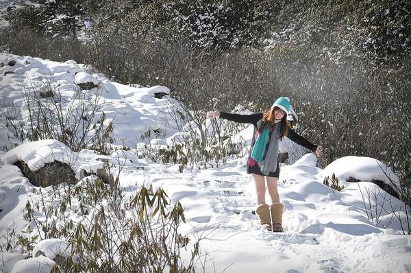 这边风景独好24