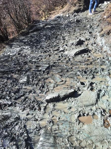 稻城亚丁五日游，秋意正好，景色太美~（2015.11.1—11.5）14