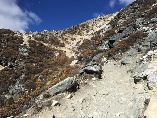 稻城亚丁五日游，秋意正好，景色太美~（2015.11.1—11.5）17