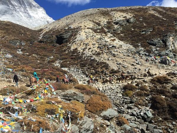 稻城亚丁五日游，秋意正好，景色太美~（2015.11.1—11.5）20