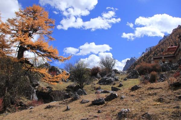 稻城亚丁五日游，秋意正好，景色太美~（2015.11.1—11.5）10