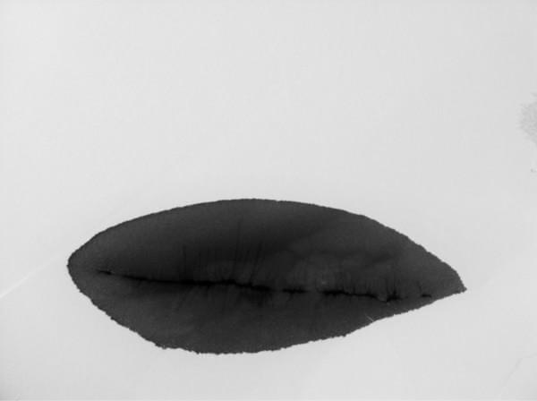 阿九，你这么美