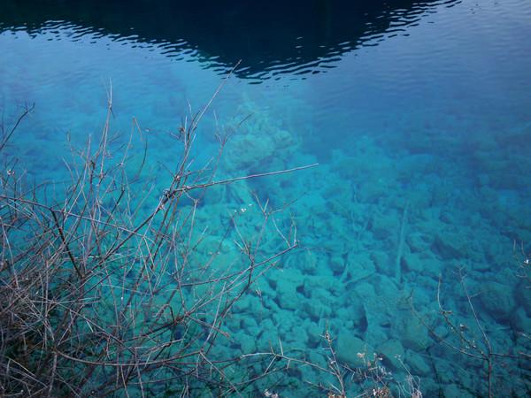 阿九，你这么美