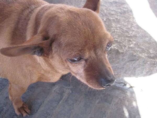 日光、暖风、十二月的南国——爱在西塘28