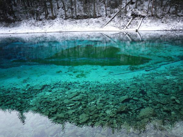 阿九，你这么美