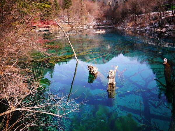 阿九，你这么美